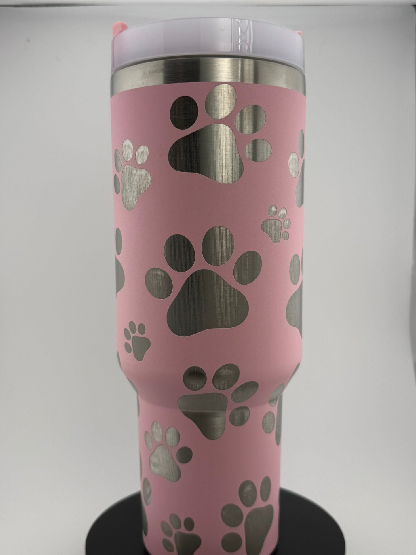 Paw Prints