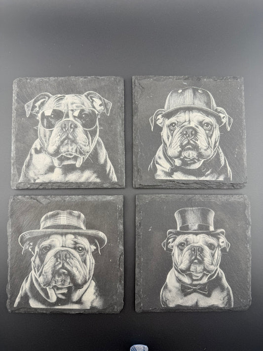 Bulldog Set
